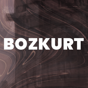 BOZKURT ALIM SATIM 