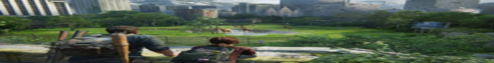 Rise Online ITEMS banner
