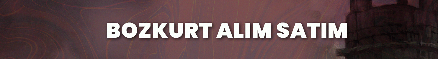 BOZKURT ALIM SATIM  banner