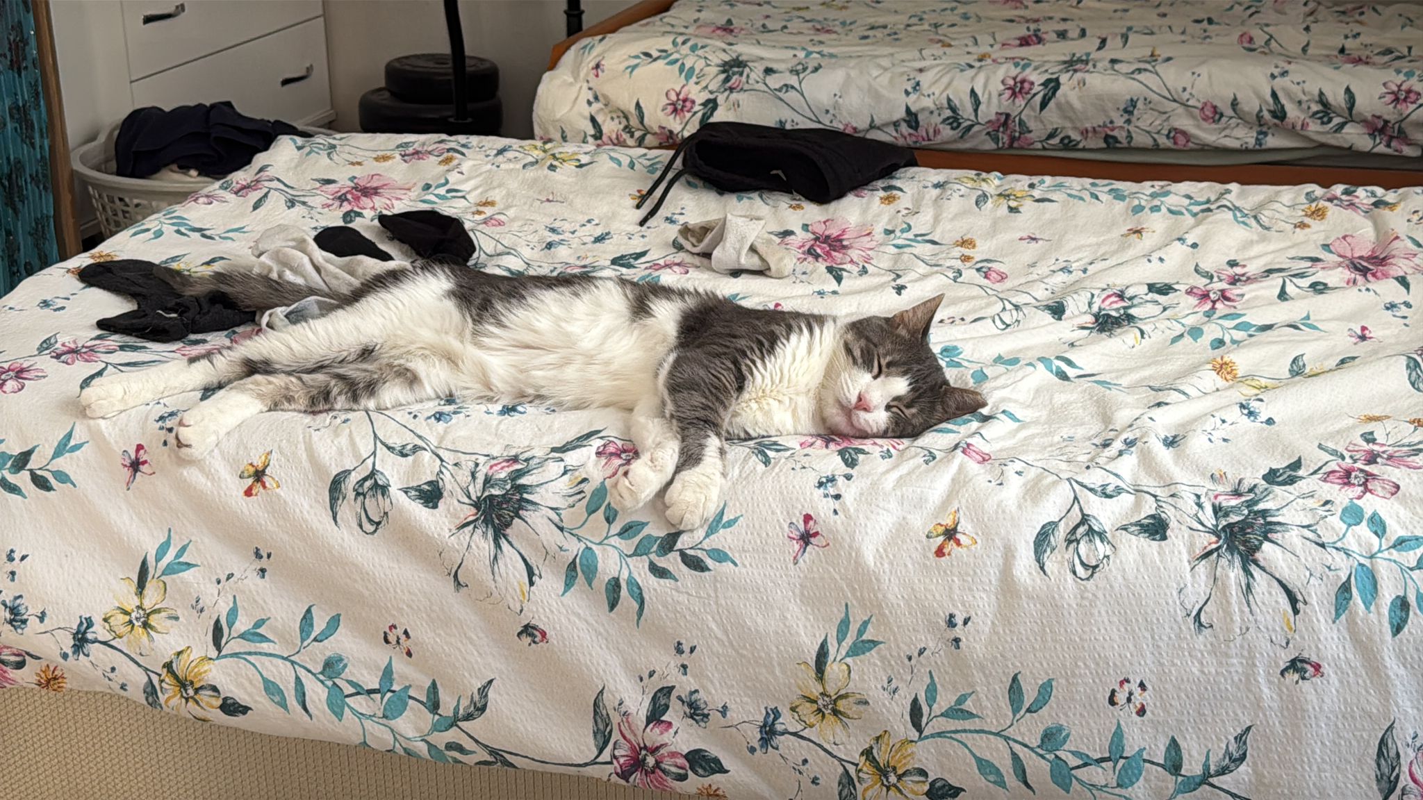 PİKOShop banner
