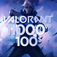 Valorant 11.000 VP - 100 USD