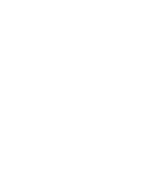 Legend Of Mushroom
