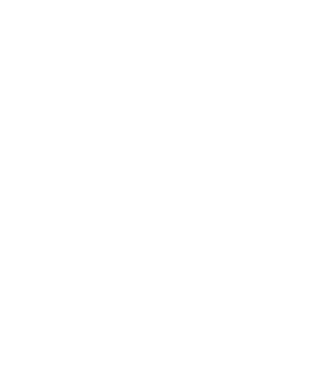 TeamSpeak
