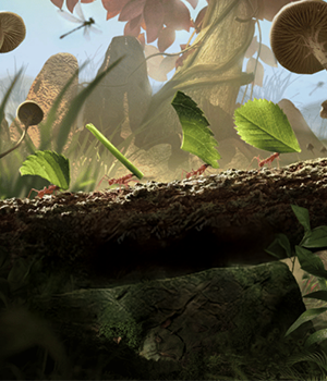 The Ants Underground Kingdom