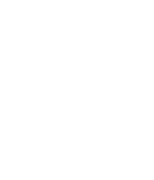 The Ants Underground Kingdom