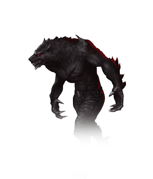 Wolf Team