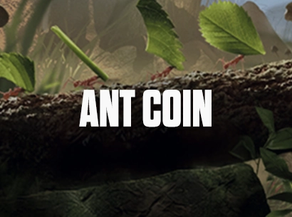 The Ants AntCoin